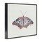 Stupell Industries Delicate Moth with Detailed Pattern Framed Giclee, design by Cady Driver